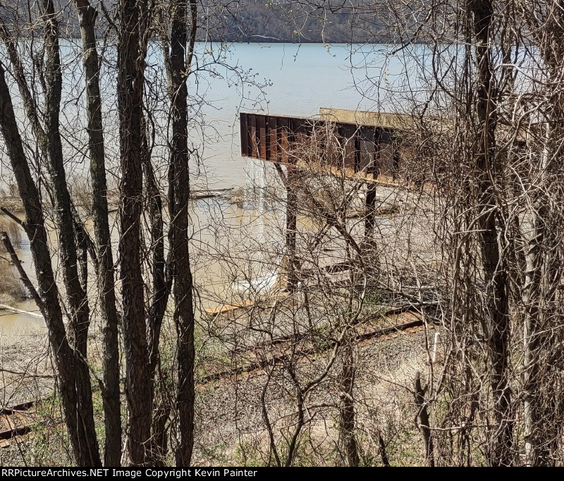 Mann's Run flume